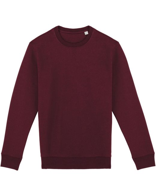 Sweat-shirt PC5129 NATIVE SPIRIT en coloris Purple