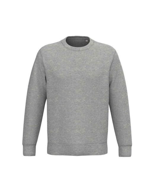 Sweat-shirt PC7879 NATIVE SPIRIT pour homme en coloris Gray