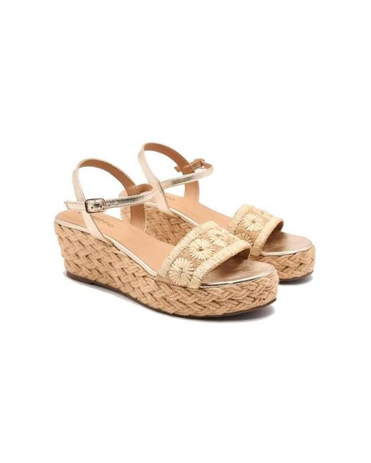 Baskets 74863-NATURAL Gioseppo en coloris White