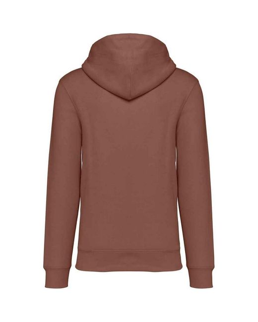 Sweat-shirt PC5121 NATIVE SPIRIT pour homme en coloris Brown
