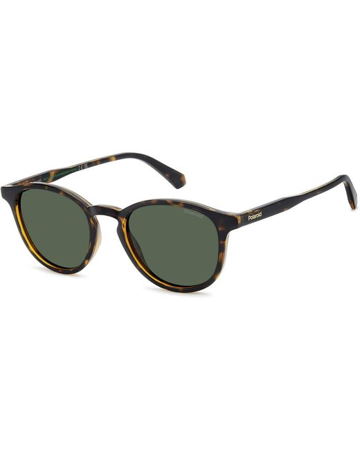 Lunettes de soleil PLD 4191/S Lunettes de soleil, Havana/Vert, 51 mm Polaroid pour homme en coloris Green