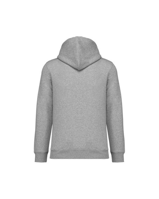 Sweat-shirt PC5175 NATIVE SPIRIT pour homme en coloris Gray