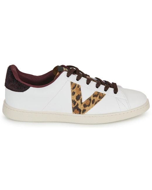 Victoria Brown Sneaker Tenis