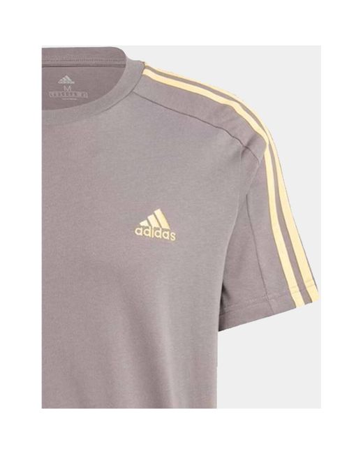 T-shirt M 3s sj t Adidas pour homme en coloris Gray