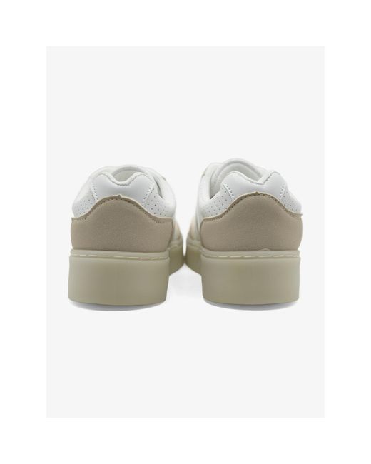 Baskets Basses 6502 C M en coloris White