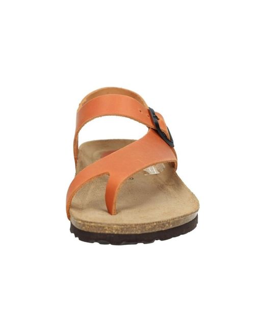 Sandales plates Interbios en coloris Brown