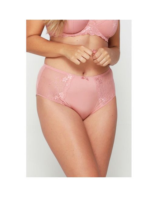Lingadore Slips Daily Slip in het Pink