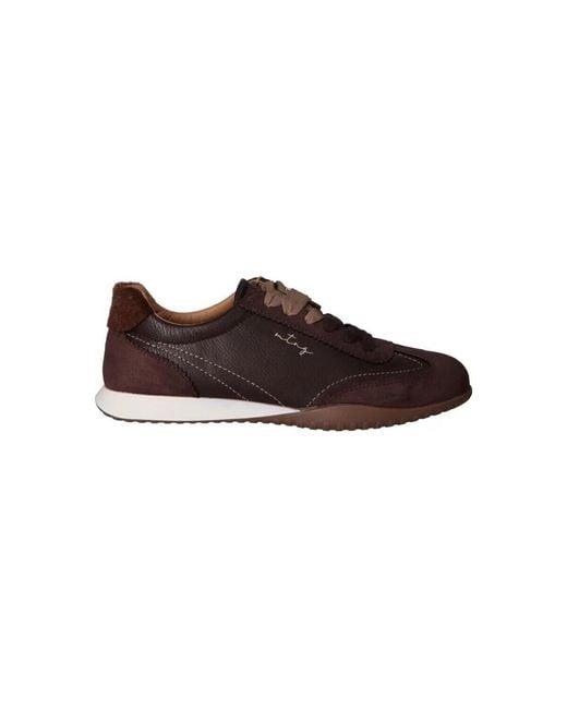 Baskets Basses 60041 MTNG en coloris Brown