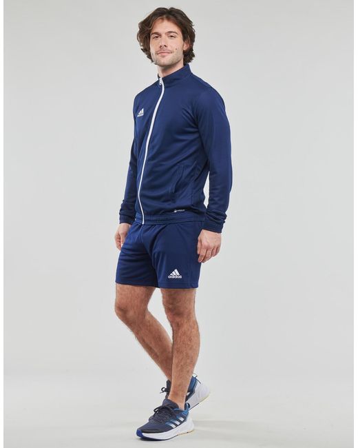 Adidas Trainingsjack Ent22 Tk Jkt in het Blue voor heren