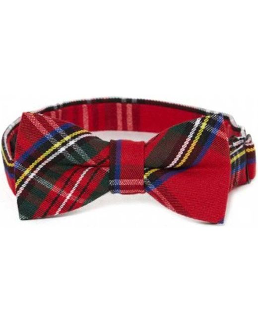 Cravates et accessoires Noeud papillon écossais rouge Harrington pour homme en coloris Red