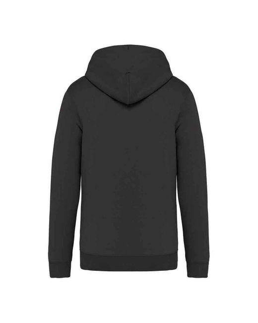 Sweat-shirt PC5175 NATIVE SPIRIT pour homme en coloris Gray