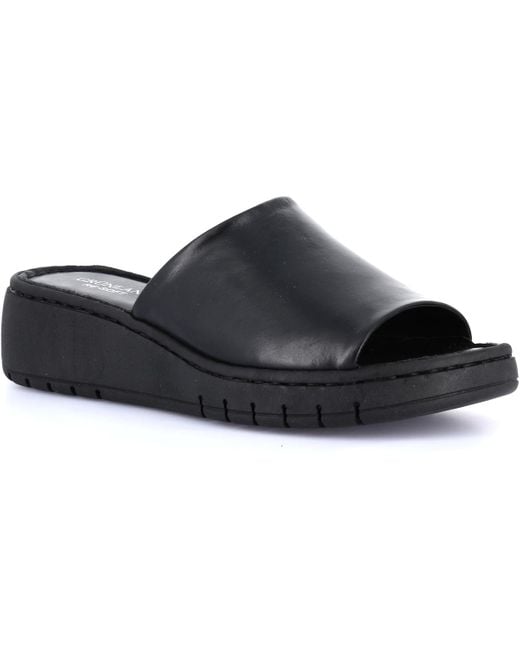 Mules DSG-CI3602 Grünland en coloris Black