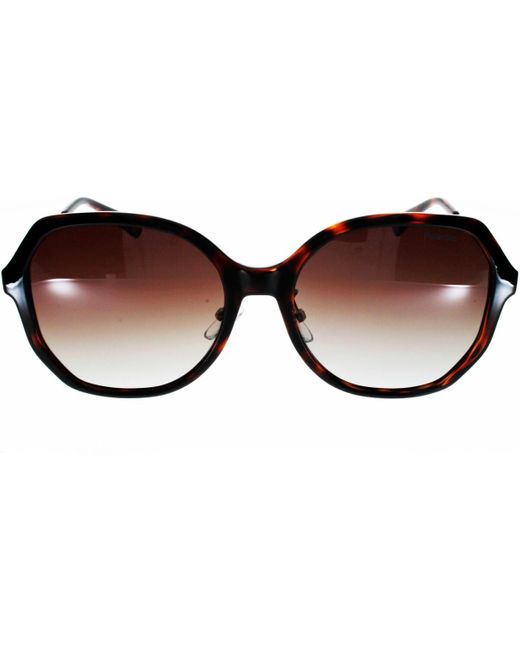 Lunettes de soleil PLD 6177 GS 086 Polaroid en coloris Brown