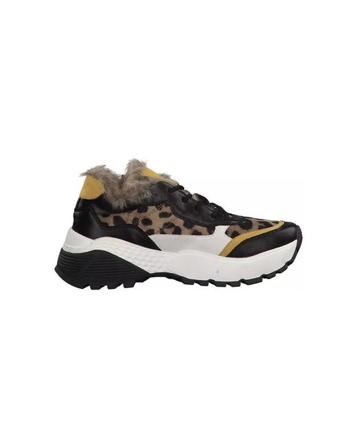 Baskets basses Baskets Rohde en coloris Black
