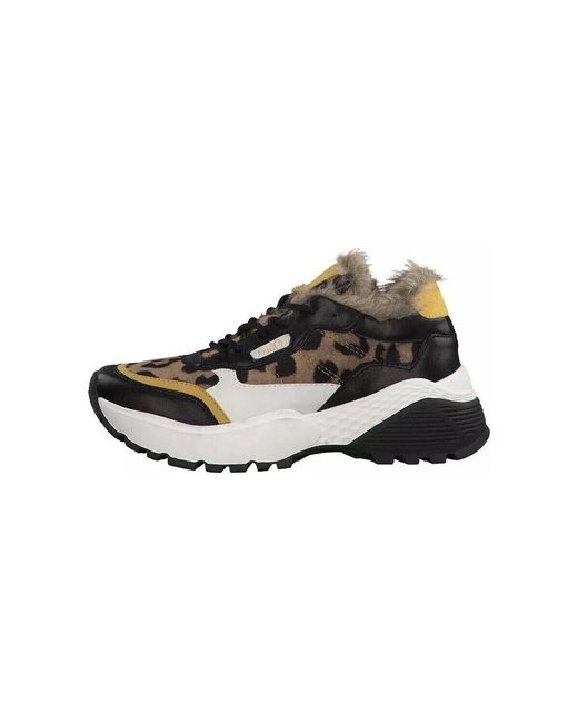 Baskets basses Baskets Rohde en coloris Black