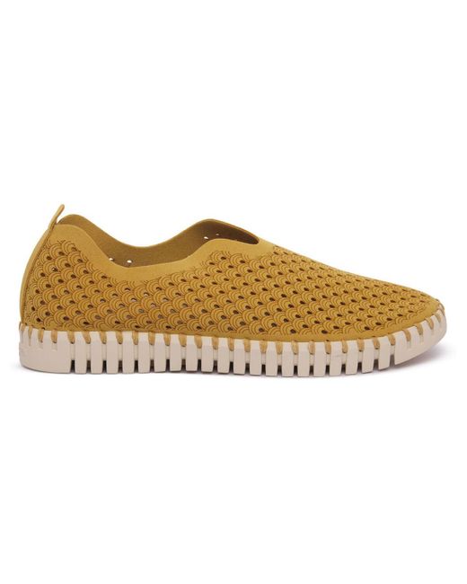 Ballerines JACOBSEN GORO TULIP 3275 Ilse Jacobsen en coloris Metallic