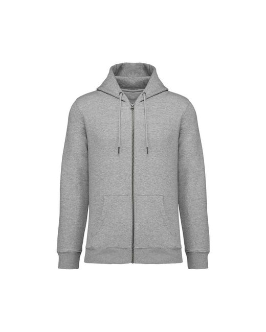 Sweat-shirt PC5175 NATIVE SPIRIT pour homme en coloris Gray