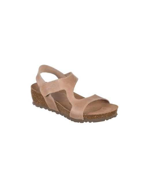 Sandales Compensées Baskets 5316 Interbios en coloris Brown