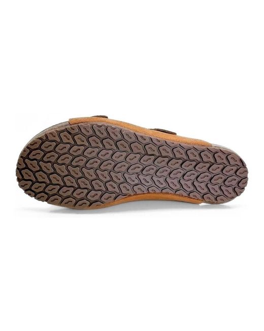 Sandales 1005 Interbios en coloris Brown