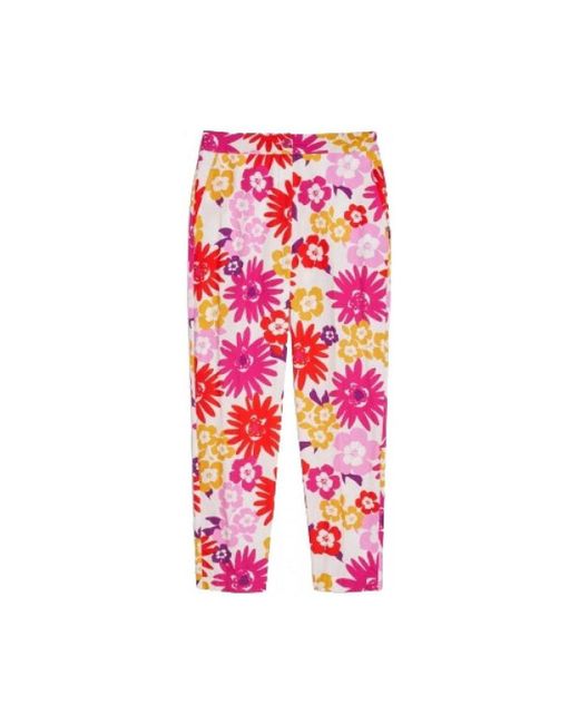 Pennyblack Broek Rigelo in het Pink