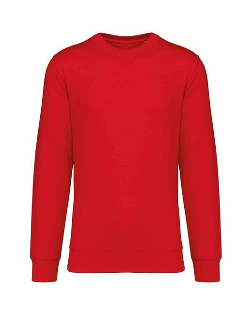 Sweat-shirt PC5129 NATIVE SPIRIT pour homme en coloris Red