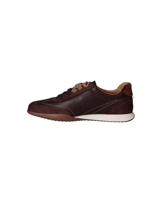 Baskets Basses 60041 MTNG en coloris Brown