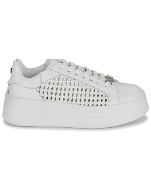Baskets basses SWIFT Dorking en coloris Gray