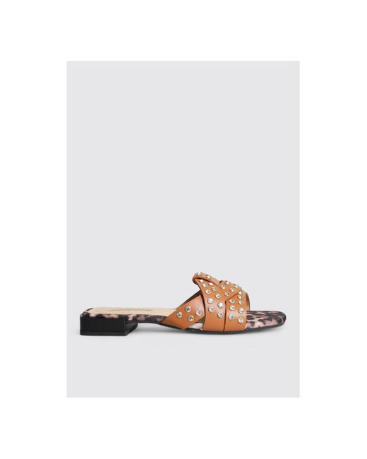 Sandales 25082 Isteria en coloris Brown