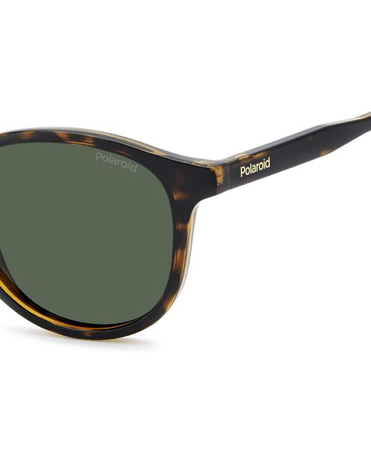 Lunettes de soleil PLD 4191/S Lunettes de soleil, Havana/Vert, 51 mm Polaroid pour homme en coloris Green