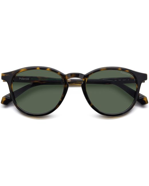 Lunettes de soleil PLD 4191/S Lunettes de soleil, Havana/Vert, 51 mm Polaroid pour homme en coloris Green