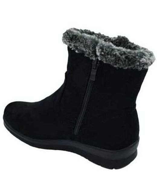 Bottines BOTTINES 657 Zapp en coloris Black