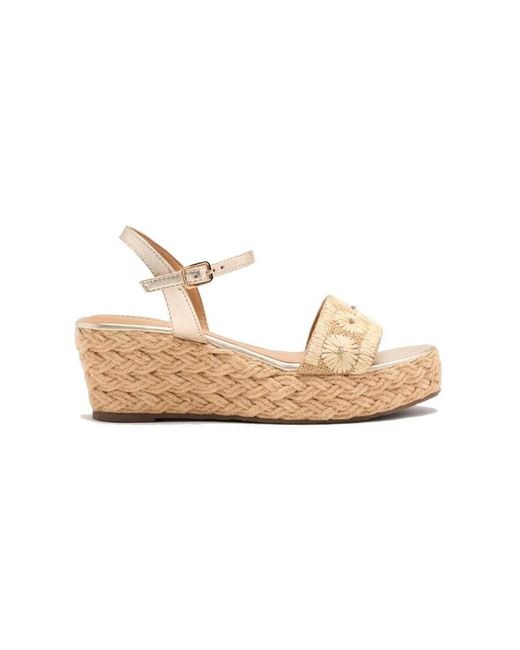 Baskets 74863-NATURAL Gioseppo en coloris White