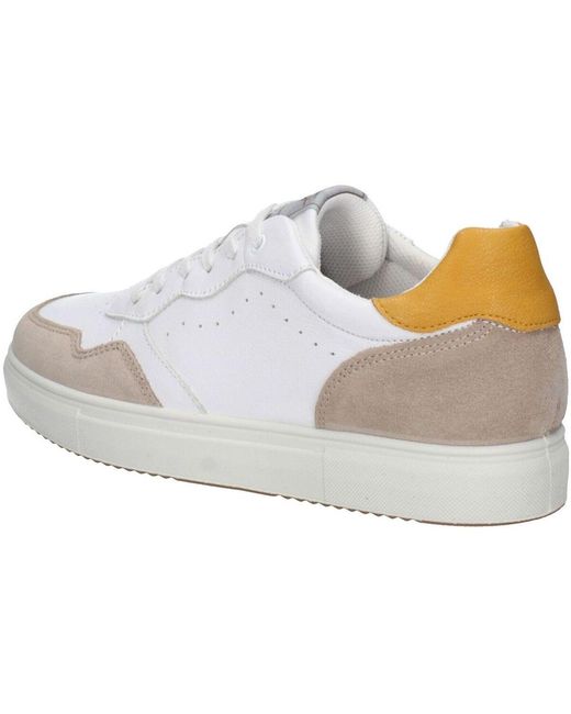 Baskets basses Imac pour homme en coloris White