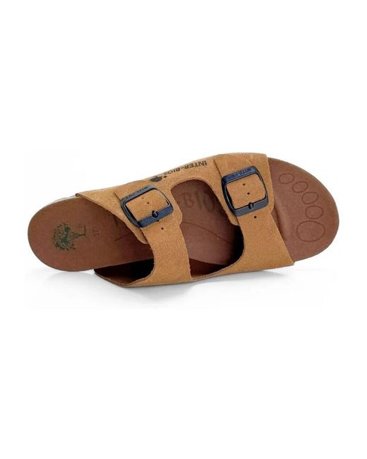 Sandales 1005 Interbios en coloris Brown