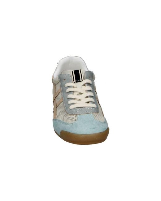 Baskets Basses 115755 Skydiva en coloris Gray