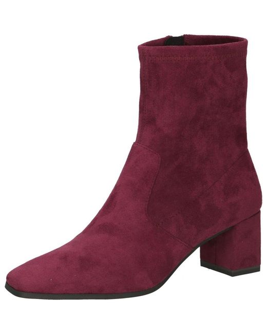 Bottines Bottines Caprice en coloris Purple