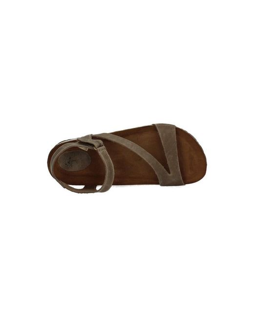 Sandales plates Interbios en coloris Brown