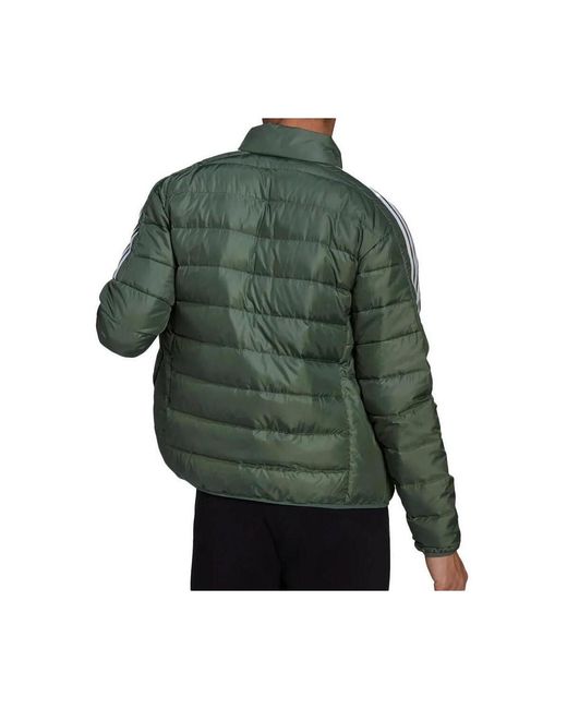 Doudounes Down Adidas pour homme en coloris Green
