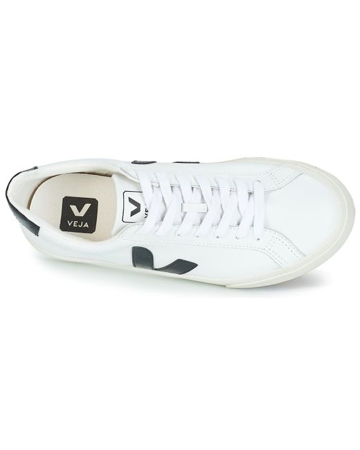 veja esplar low logo
