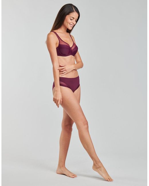 Culottes Dim en coloris Purple