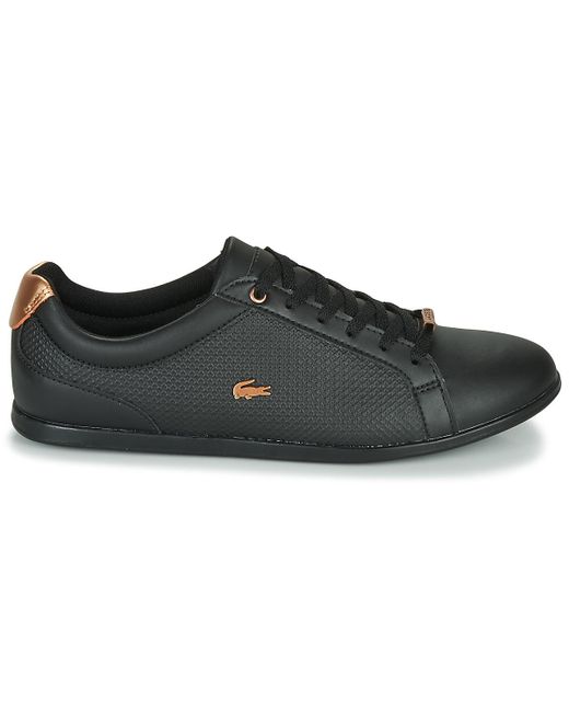 lacoste rey lace 319 1 cfa