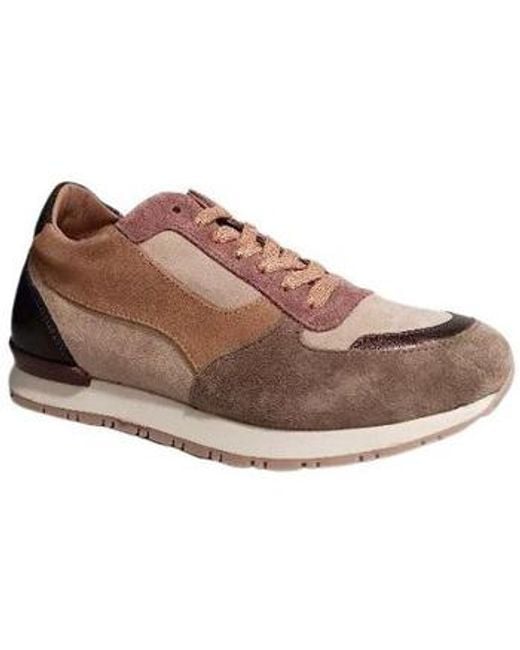 Spartoo reqins sale