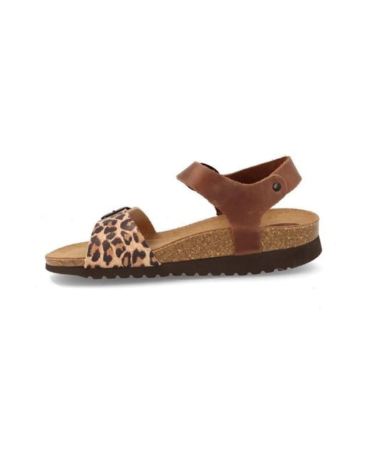 Sandales Interbios en coloris Brown