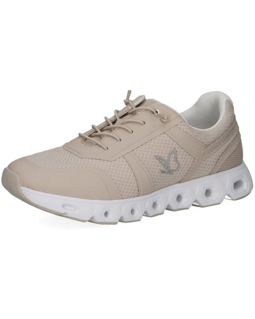 Ville Basse Caprice en coloris Gray