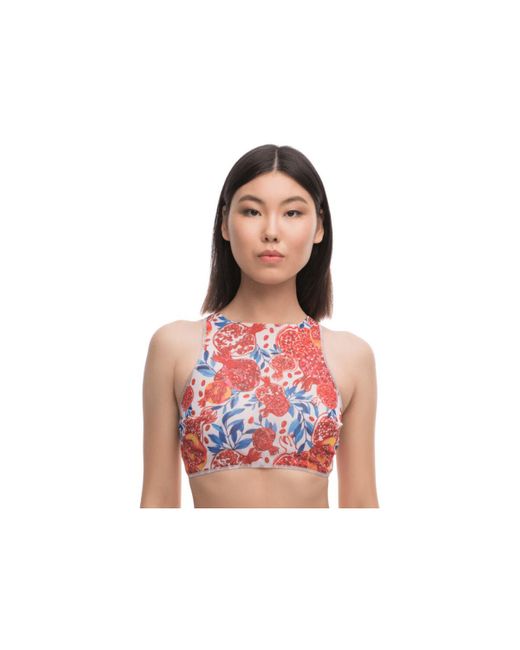 Maillots de bain Sport Top Bronzant Pomegranate Rouge Bonnature en coloris Pink