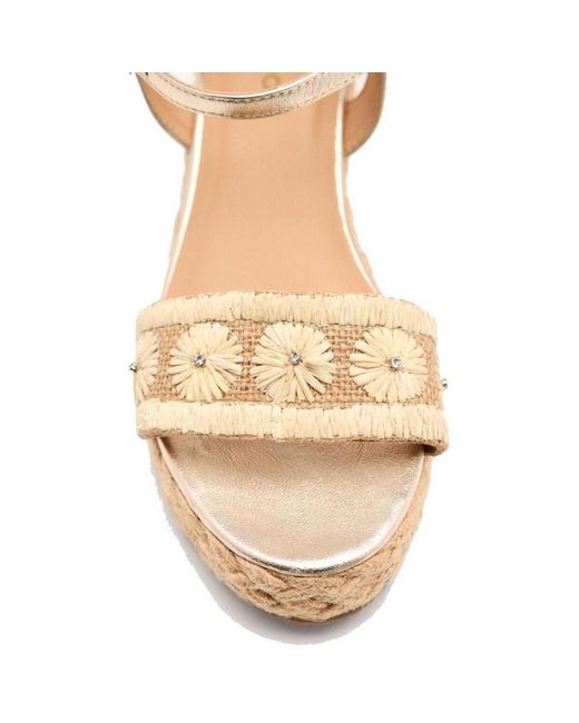 Baskets 74863-NATURAL Gioseppo en coloris White