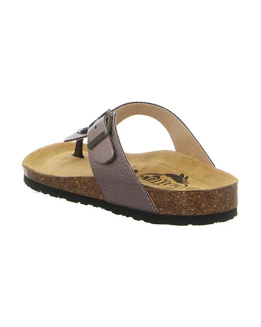 Sabots Plakton en coloris Brown