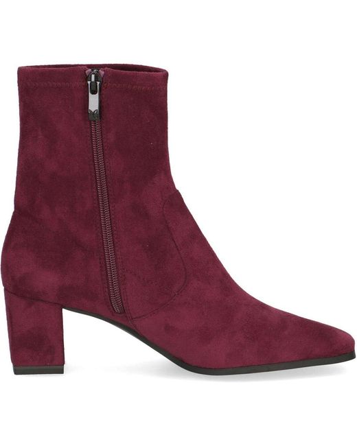 Bottines Bottines Caprice en coloris Purple