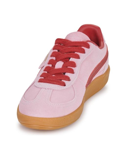 Baskets basses Palermo PUMA en coloris Pink