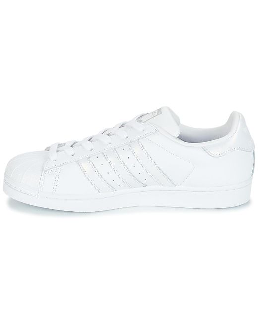 spartoo adidas superstar